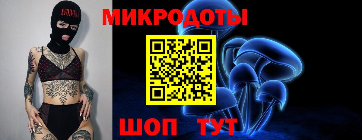 Псилоцибиновые грибы MAGIC MUSHROOMS Петропавловск-Камчатский